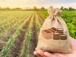 Safra 2025 em Alta: Aproveite os R$ 10 Milhões em Subvenção ao Seguro Rural do Paraná!