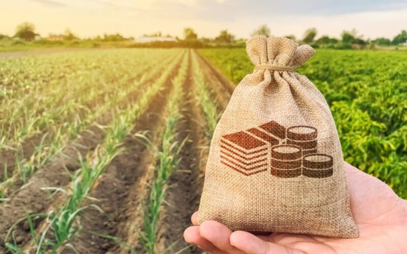 Safra 2025 em Alta: Aproveite os R$ 10 Milhões em Subvenção ao Seguro Rural do Paraná!
