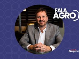 Safra 25/26: 354 mi t no radar — a supercolheita histórica que pode mexer nos preços e turbinar exportações