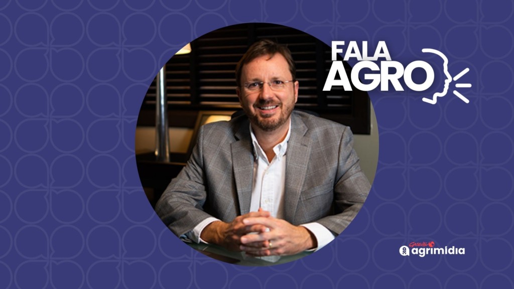 Safra 25/26: 354 mi t no radar — a supercolheita histórica que pode mexer nos preços e turbinar exportações