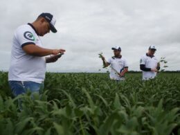 ? Safra de Soja Gigante: Oportunidades e Desafios Sob o Olhar Atento do Clima e das Margens Econômicas! ?