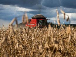 Safra Surpreendente: Mato Grosso Revela Produção Acima das Expectativas do Mercado