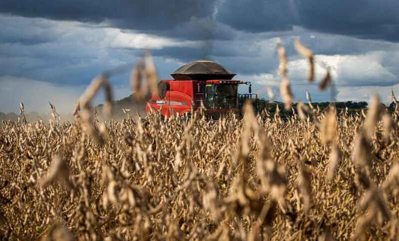 Safra Surpreendente: Mato Grosso Revela Produção Acima das Expectativas do Mercado