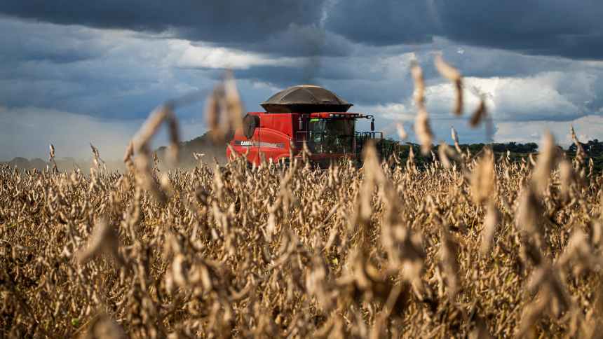 Safra Surpreendente: Mato Grosso Revela Produção Acima das Expectativas do Mercado