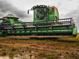 Safrinha em Xeque: Impactos da Lenta Colheita de Soja em Milho e Algodão Surpreendem Produtores