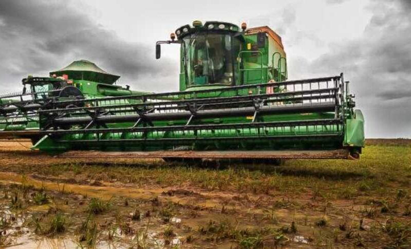 Safrinha em Xeque: Impactos da Lenta Colheita de Soja em Milho e Algodão Surpreendem Produtores