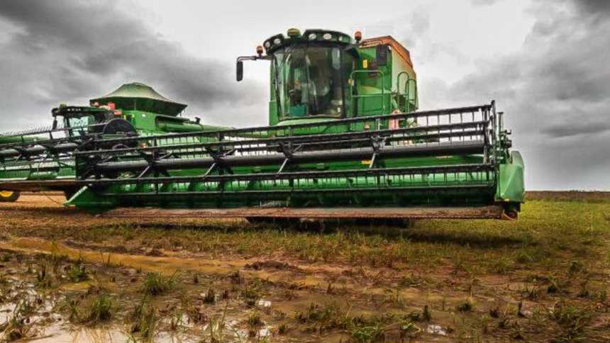 Safrinha em Xeque: Impactos da Lenta Colheita de Soja em Milho e Algodão Surpreendem Produtores