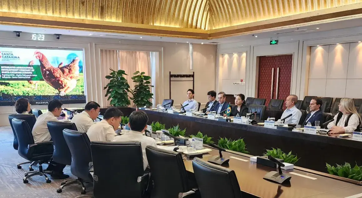 Santa Catarina e China: O Retorno Triunfal das Exportações de Frango sob o Olhar do Governador Jorginho Mello!
