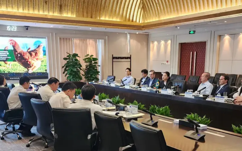 Santa Catarina e China: O Retorno Triunfal das Exportações de Frango sob o Olhar do Governador Jorginho Mello!