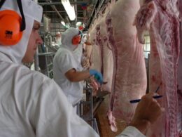SC: Frigorífico nega atestado e trabalhador convulsiona, diz sindicato
