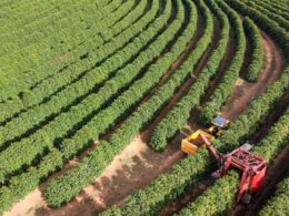 Segurança no Campo: Como o Programa Safra Garantida SC Transformará a Agricultura de Santa Catarina!
