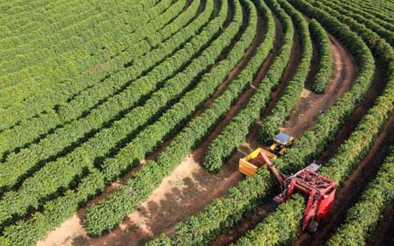 Segurança no Campo: Como o Programa Safra Garantida SC Transformará a Agricultura de Santa Catarina!