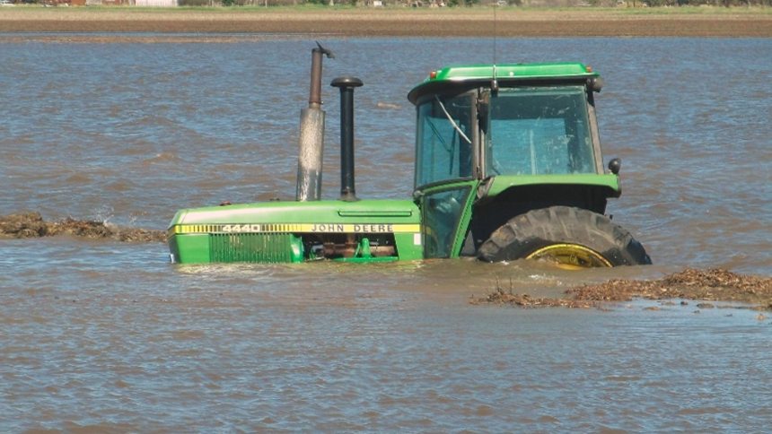 Seguro Rural 2024: Desafios Atuais e Promessas de Revitalização no Horizonte Seguro Rural 2024: Desafios Atuais e Promessas de Revitalização no Horizonte