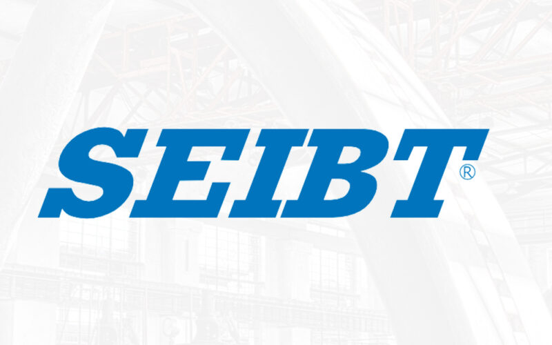 Seibt: A Revolução Verde que Transformou Plásticos em Oportunidades Sustentáveis