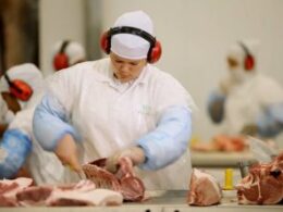 Sema fecha parcialmente frigorífico em MT por risco ambiental — o que muda no seu churrasco