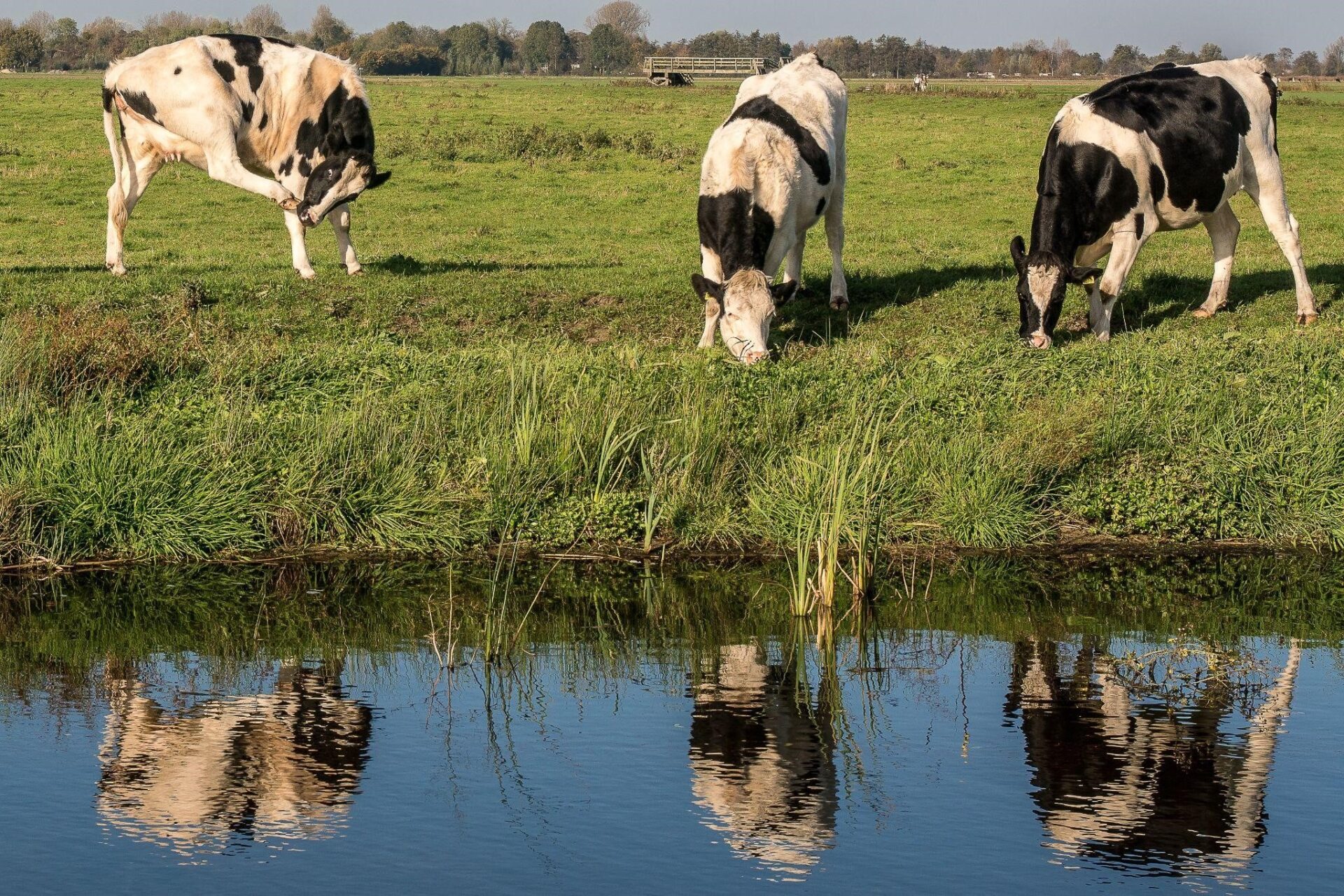 Setor agropecuário do Brasil esperado alcançar R$ 1 trilhão em 2023
