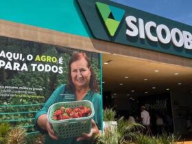 Sicoob aumenta em 10% os recursos do Plano Safra para produtor “tirar projetos da gaveta”