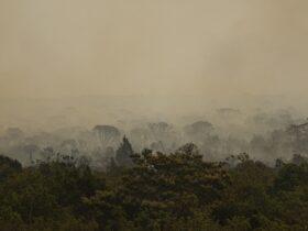 Sistema de monitoramento e alerta de queimadas auxilia na gestão de riscos de incêndios