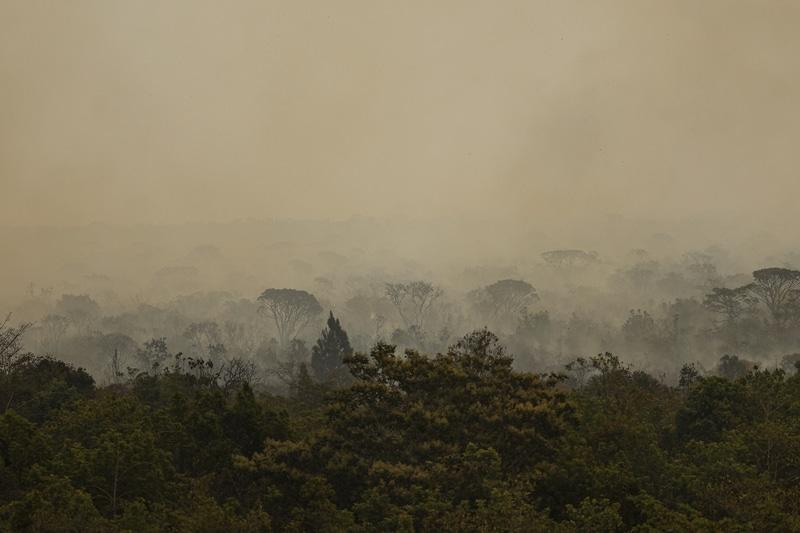 Sistema de monitoramento e alerta de queimadas auxilia na gestão de riscos de incêndios