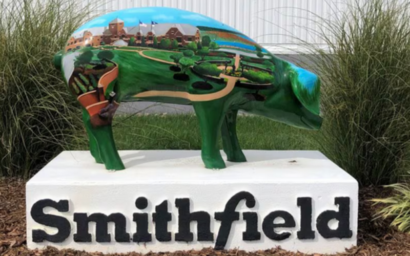 Smithfield Foods: Transformação Estratégica e O Futuro da Produção Alimentar Revelado