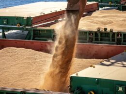 Soja em Queda no Brasil: O Que a Alta Internacional e a Crise Argentinian Significam para os Produtores?