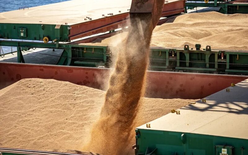 Soja em Queda no Brasil: O Que a Alta Internacional e a Crise Argentinian Significam para os Produtores?