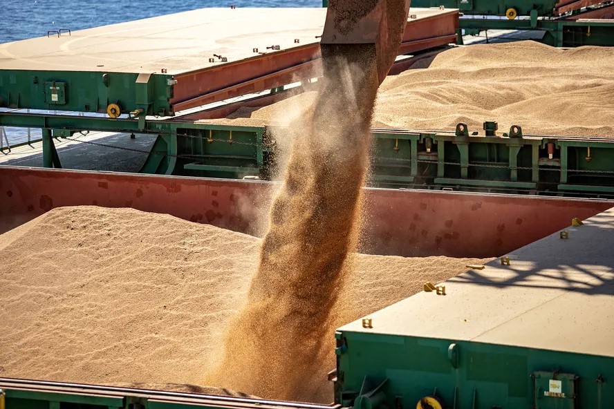 Soja em Queda no Brasil: O Que a Alta Internacional e a Crise Argentinian Significam para os Produtores?