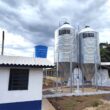 Suinocultura: O Segredo que Está Revitalizando Três Passos e Conquistando a Geração do Campo!