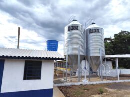 Suinocultura: O Segredo que Está Revitalizando Três Passos e Conquistando a Geração do Campo!