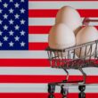 Tarifaço à Vista: Aventura Americana por Ovos no Brasil pode Bagunçar o Café da Manhã nos EUA!