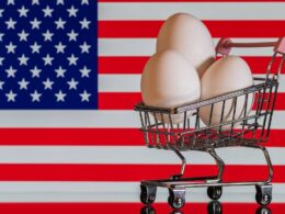 Tarifaço à Vista: Aventura Americana por Ovos no Brasil pode Bagunçar o Café da Manhã nos EUA!