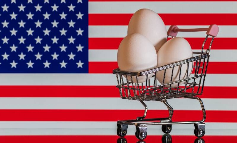Tarifaço à Vista: Aventura Americana por Ovos no Brasil pode Bagunçar o Café da Manhã nos EUA!