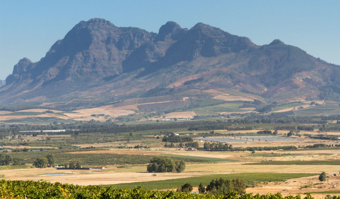 Terras em Perigo: O Alarmante Destino dos Agricultores Sul-Africanos e o Futuro da Agricultura