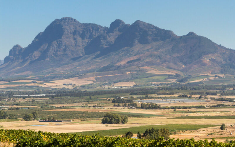 Terras em Perigo: O Alarmante Destino dos Agricultores Sul-Africanos e o Futuro da Agricultura