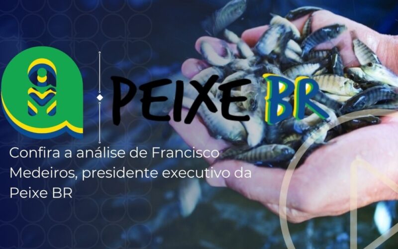 Tilápia em Alta: O Segredo por trás da Estabilidade de Preços e o Crescimento das Cooperativas no Setor!