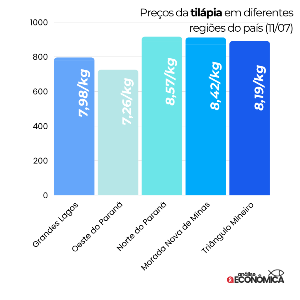 Cotações da Tilápia por Região