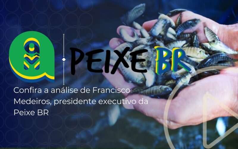 “Tilápia PeixeBR: Os Segredos das Cotações que Transformam Seu Negócio pelo Brasil!”