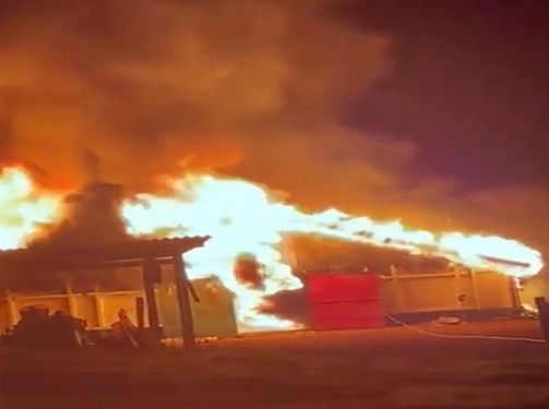 Tragédia em Cascavel: Incêndio Devasta Aviário e Arrebata 21 mil Pintainhos em Uma Noite