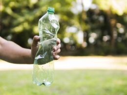 Transformando Lixo em Valor: Os Novos Selos do Brasil que Revolutionam o Reciclagem de Plástico!