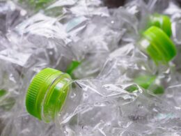 Transformando o Futuro: Como Bioplásticos Rápidos e Plantas Revolucionam o Esporte Sustentável!
