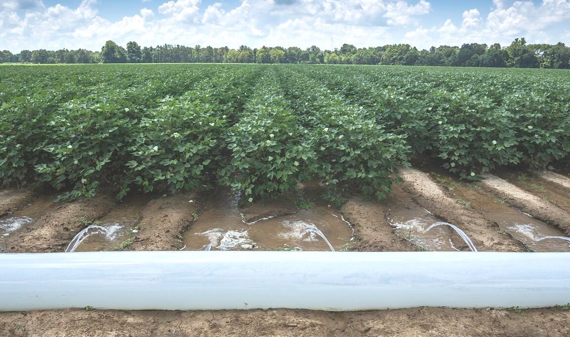 Transformando Resíduos em Riquezas: A Revolução Verde que Está Mudando a Agricultura! Transformando Resíduos em Riquezas: A Revolução Verde que Está Mudando a Agricultura!