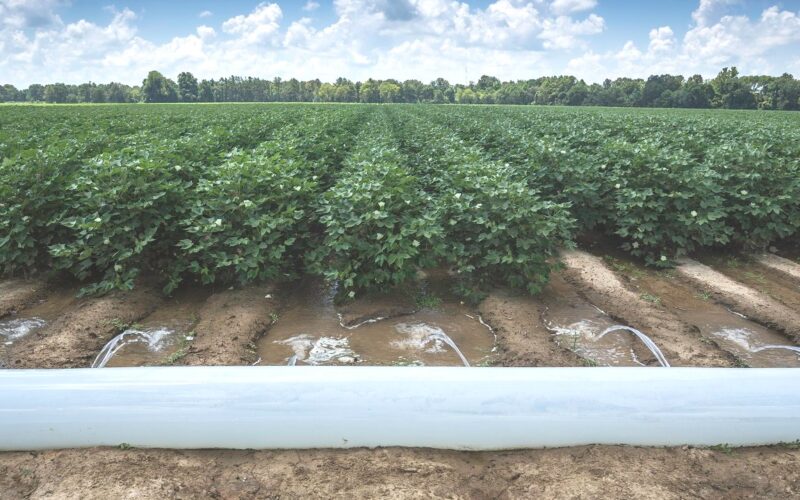 Transformando Resíduos em Riquezas: A Revolução Verde que Está Mudando a Agricultura!