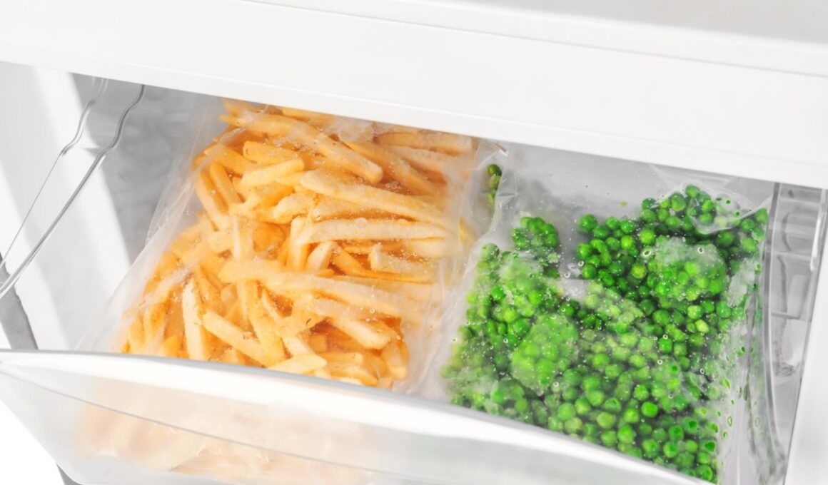 Transforme o Futuro da Sua Cozinha: Embalagens de Alimentos Congelados com Menos Material e Mais Sustentabilidade!