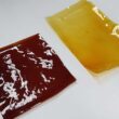 Transforme seu estilo de vida: Conheça talheres sustentáveis e a loja de plástico reciclado com bioplástico inovador