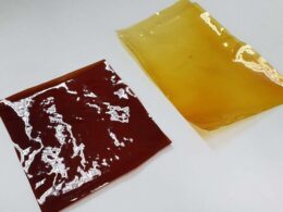 Transforme seu estilo de vida: Conheça talheres sustentáveis e a loja de plástico reciclado com bioplástico inovador