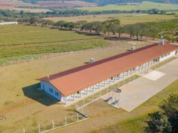 Transforme seu Futuro com o Curso Técnico Gratuito em Agropecuária da ETASA e Desperte seu Potencial Profissional