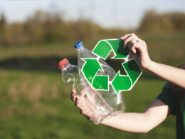 Transforme Seu Lixo em Luz: 5 Passos Simples para Contribuir com a Sustentabilidade Hoje Mesmo!