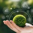 Transforme Seu Negócio: Como Certificados Sustentáveis Elevam Sua Marca ao Topo!