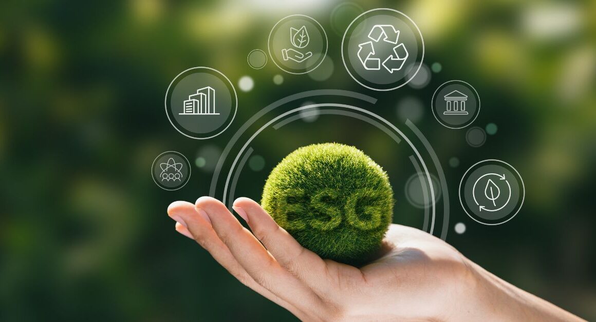 Transforme Seu Negócio: Como Certificados Sustentáveis Elevam Sua Marca ao Topo!