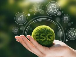 Transforme Seu Negócio: Como Certificados Sustentáveis Elevam Sua Marca ao Topo!